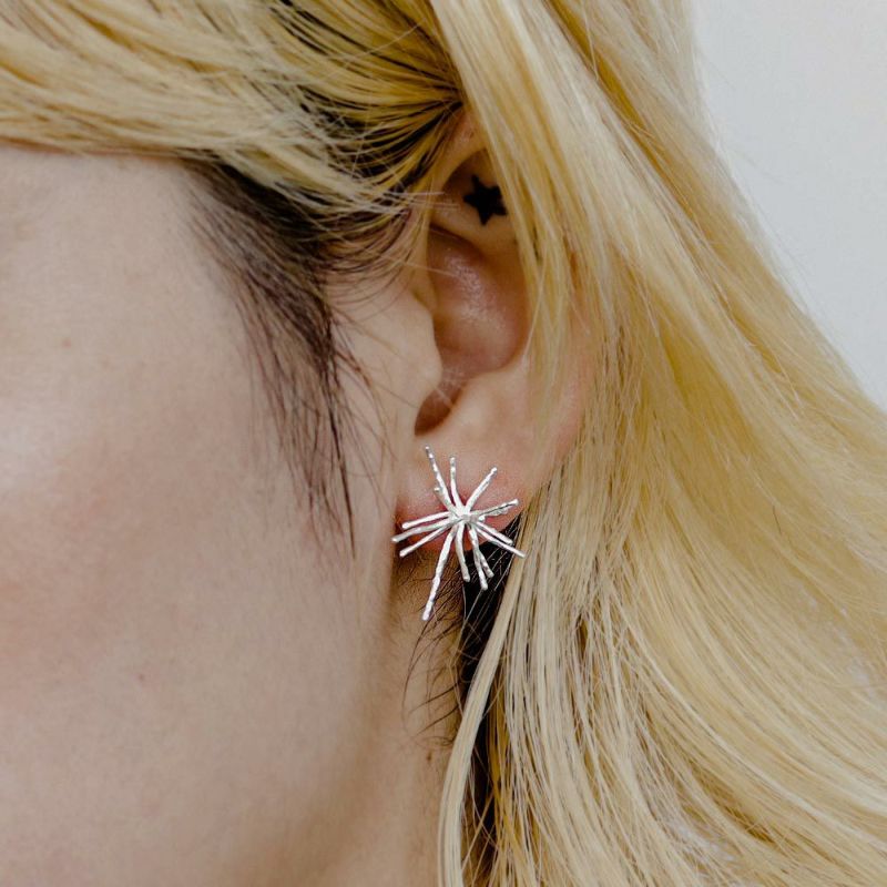 【LIMITED NUMBER】silver925 collection ブライトスター スタッドピアス ニッケルフリー ミニジュエリーポーチ付き