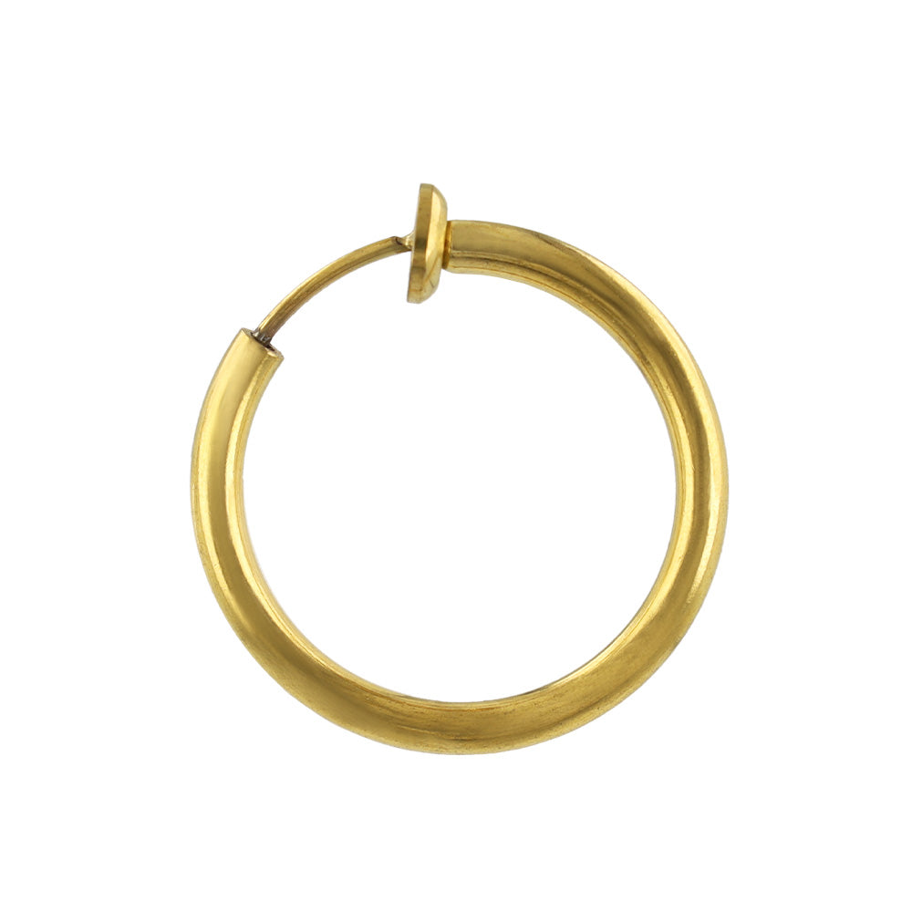 イヤリング ステンレス メタル 20mm フープタイプ パイプイヤリング