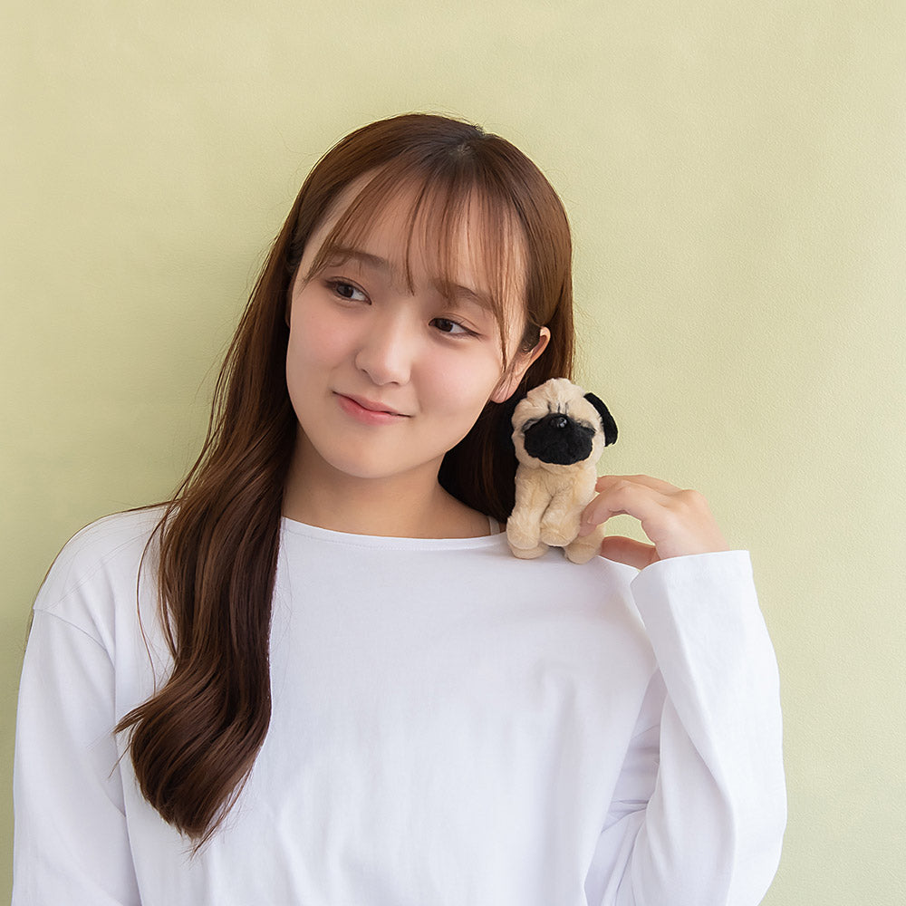 バッグチャーム ぬいぐるみ ビーグル パグ イヌ 犬 キーホルダー