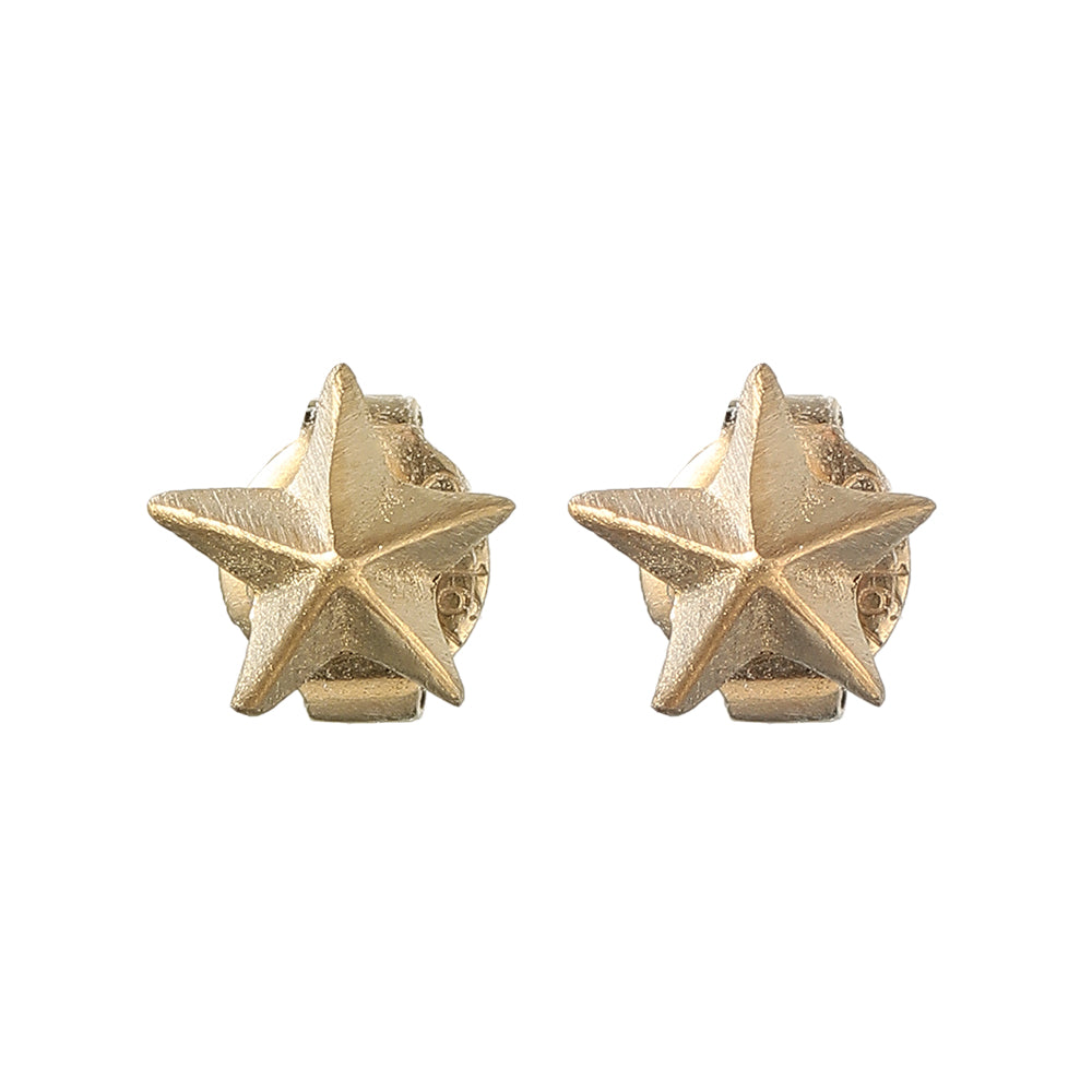 【LIMITED NUMBER】STAINLESS collection ピアス メタル ミニ スター 立体 スタッドピアス