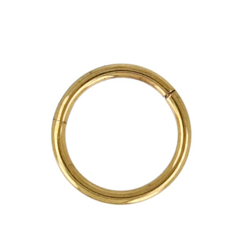 ボディピアス サージカルステンレス 316L 6mm フープ ワンタッチ セグメントリング 20G 【1個販売】