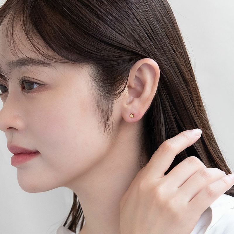 ピアス ステンレス スター 5個セット ステンレスポスト スタッド