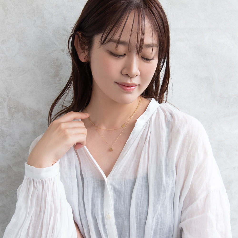 ネックレス ステンレス 2連 プチネックレス