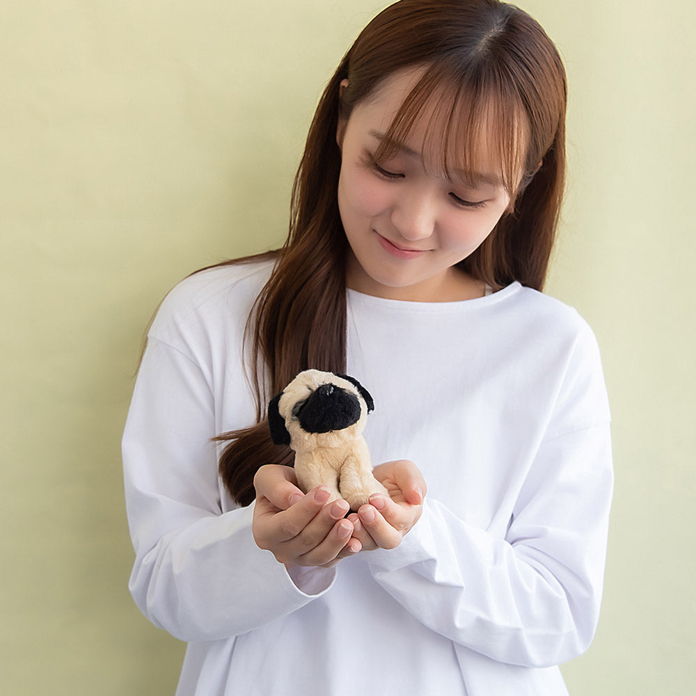 バッグチャーム ぬいぐるみ ビーグル パグ イヌ 犬 キーホルダー