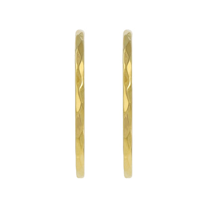 ピアス メタル ステンレスポスト フープピアス