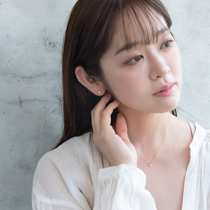 ピアス ニッケルフリー rose cut キュービックジルコニア メタル フレーム ハート チタンポスト スタッドピアス