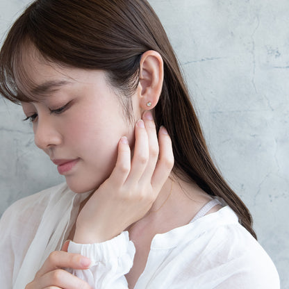 ピアス ニッケルフリー rose cut キュービックジルコニア メタル フレーム ハート チタンポスト スタッドピアス