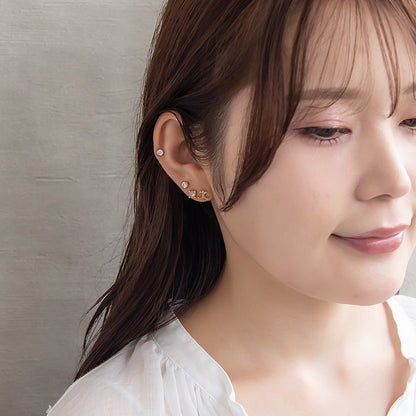 ピアス ニッケルフリー 百合の紋章 ロンバス 6個セット チタンポスト スタッドピアス