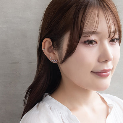 ピアス ニッケルフリー バラフライ 6個セット チタンポストポスト スタッドピアス