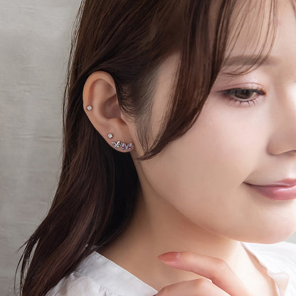 ピアス ニッケルフリー バラフライ 6個セット チタンポストポスト スタッドピアス