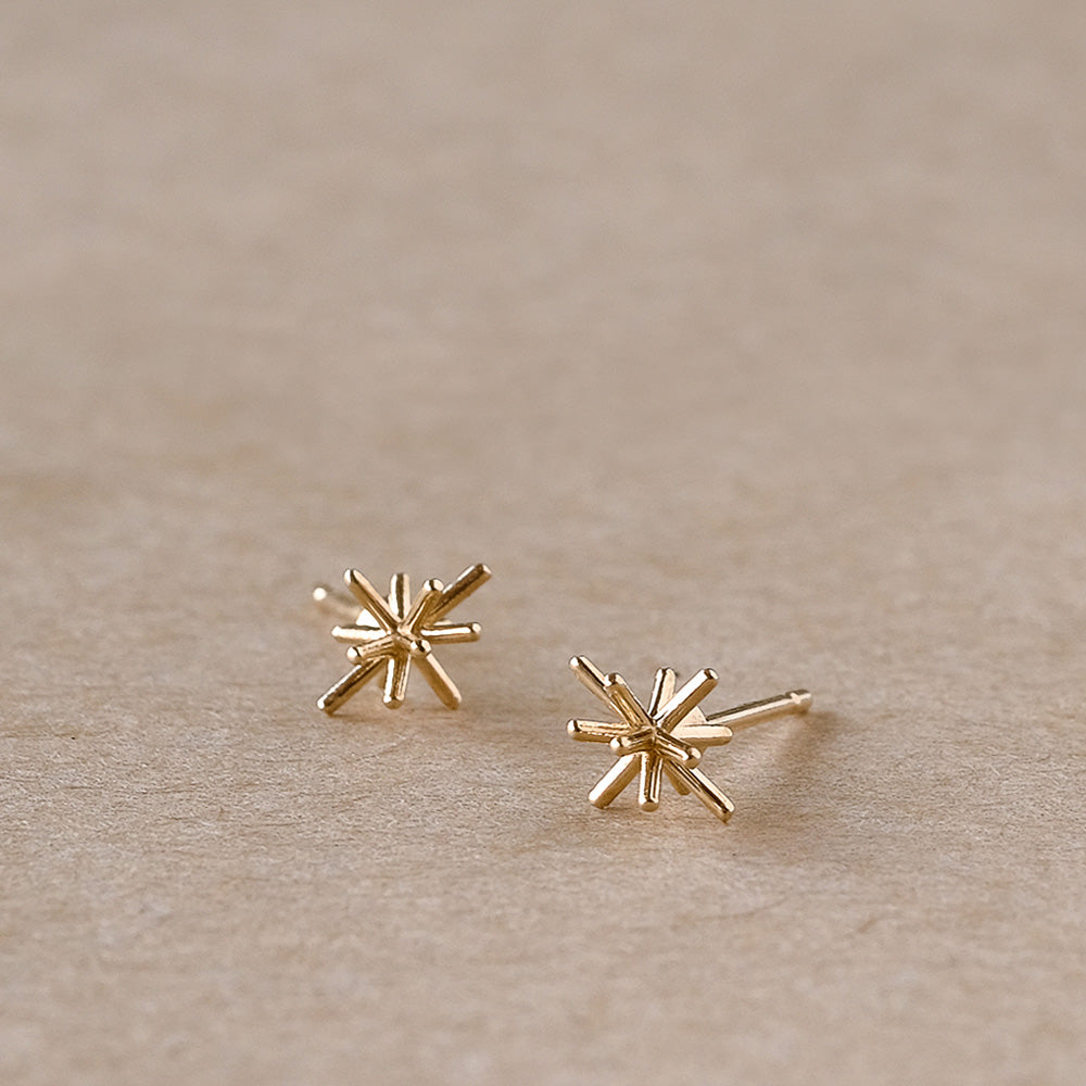 【elaia】ピアス K10 ブライトスター スタッドピアス オリジナルボックス/巾着付き