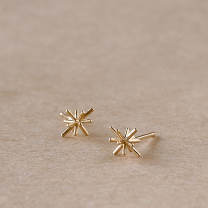 【elaia】ピアス K10 ブライトスター スタッドピアス オリジナルボックス/巾着付き